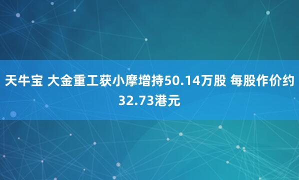 天牛宝 大金重工获小摩增持50.14万股 每股作价约32.73港元