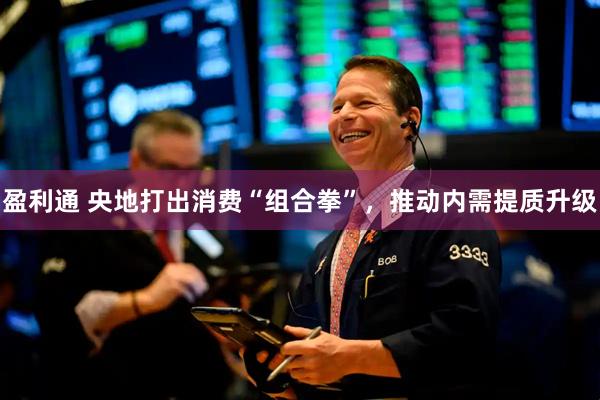 盈利通 央地打出消费“组合拳”，推动内需提质升级